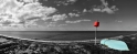 Portarlington 10